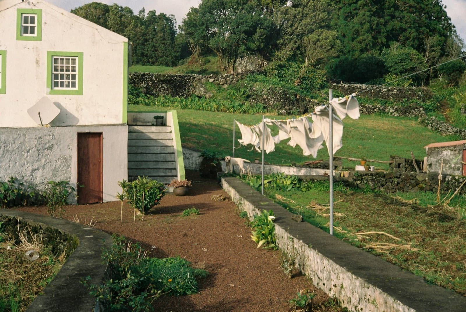 White house with green window trim, a garden path and laundry on a line